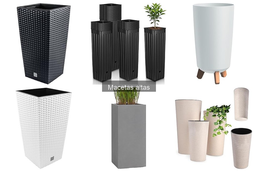 Descubre los Tipos de Macetas Altas para Decorar tu Hogar