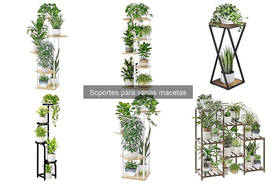 Descubre qué son los soportes para varias macetas
