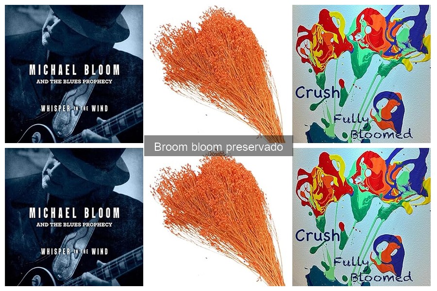 Dónde comprar flores Broom Bloom preservadas online