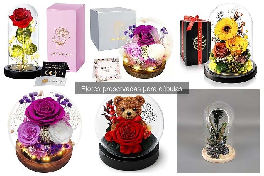 Dónde comprar flores preservadas para cúpulas con estilo