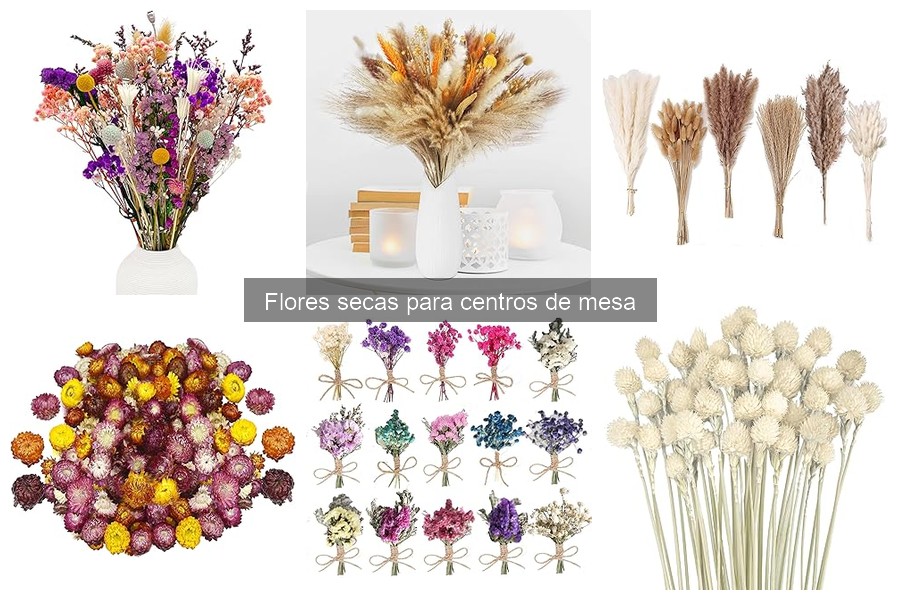 Dónde comprar flores secas online: mejores tiendas y precios