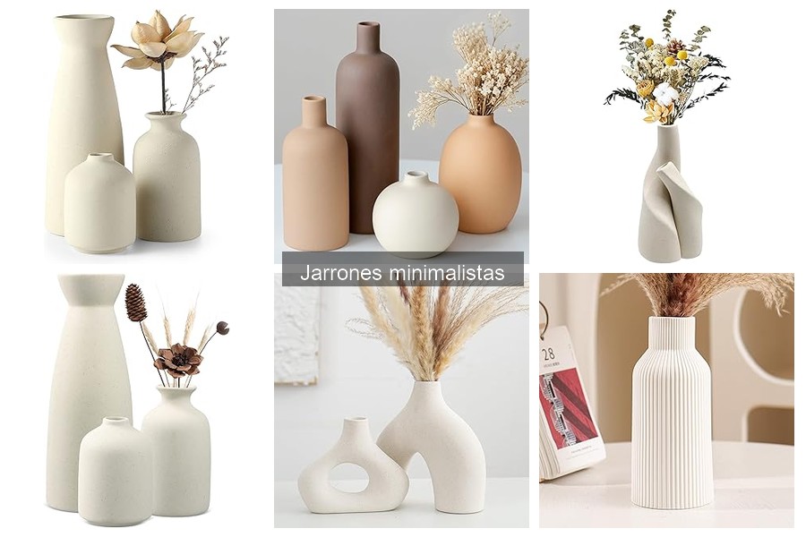 Dónde comprar jarrones minimalistas asequibles y estilosos
