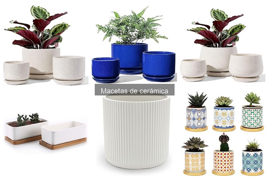 Dónde comprar macetas de cerámica a buen precio
