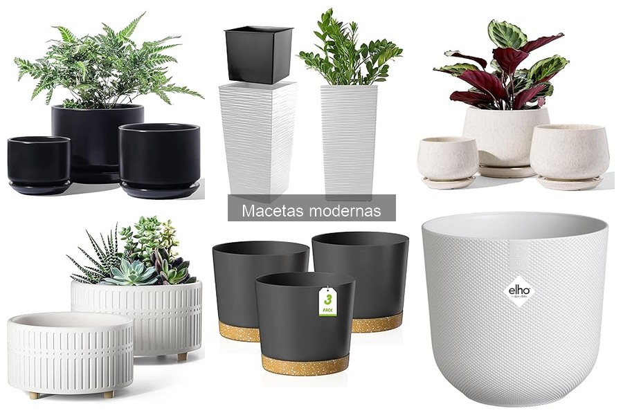 Dónde comprar macetas modernas: Precios y ofertas