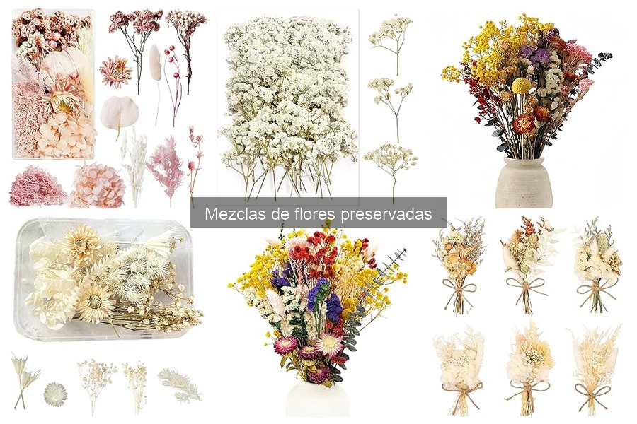 Dónde Comprar Mezclas de Flores Preservadas para Decorar