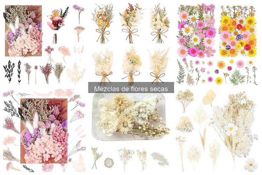 Dónde Comprar Mezclas de Flores Secas en Línea: Mejores Tiendas