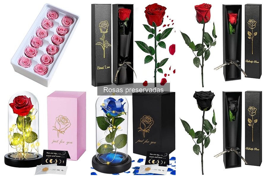Dónde Comprar Rosas Preservadas: Mejores Tiendas Online