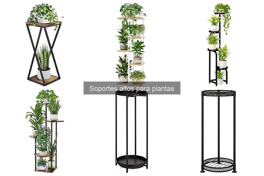 Dónde comprar soportes altos para plantas: opciones y tips