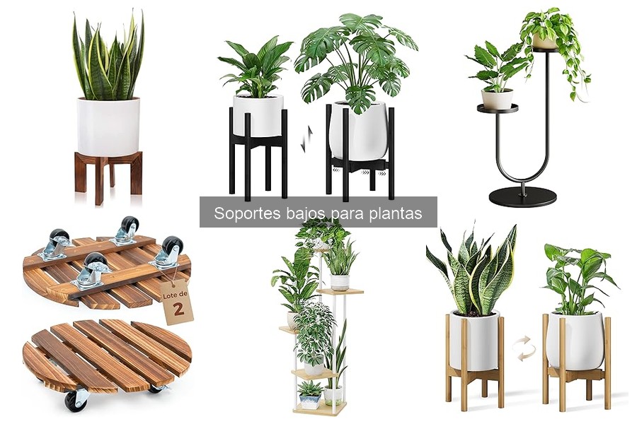 Dónde comprar soportes bajos para plantas: mejores tiendas