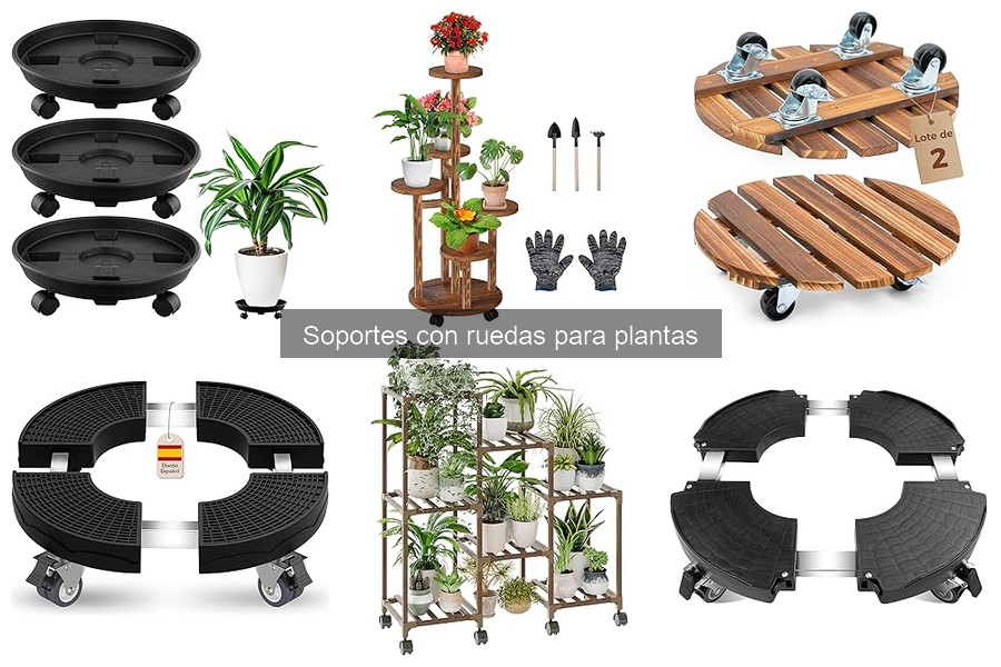 Dónde comprar soportes con ruedas para plantas: las mejores opciones