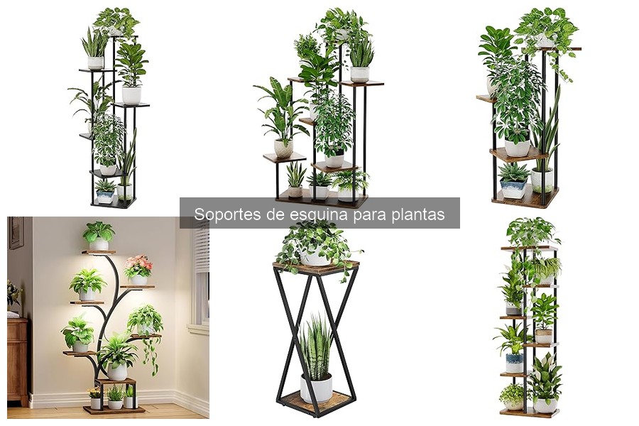 Dónde comprar soportes de esquina para plantas de calidad
