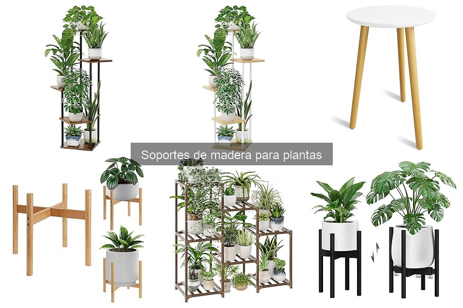 Dónde comprar soportes de madera para plantas en línea