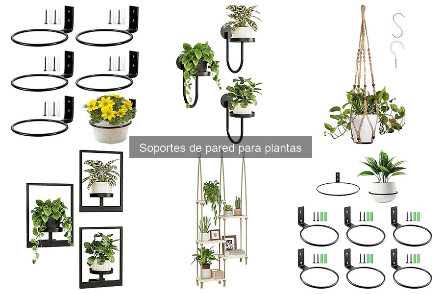 Dónde comprar soportes de pared para plantas al mejor precio