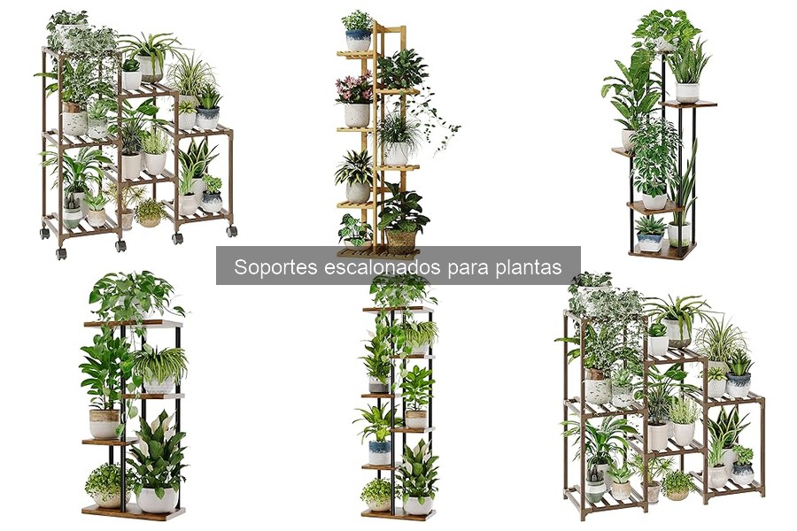 Dónde comprar soportes escalonados para plantas al mejor precio