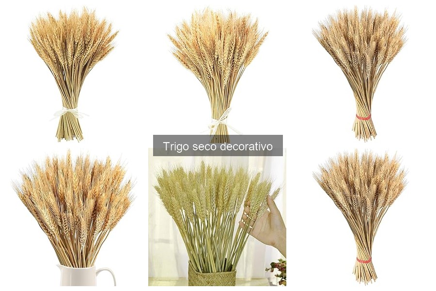 Dónde comprar trigo seco decorativo para tu hogar