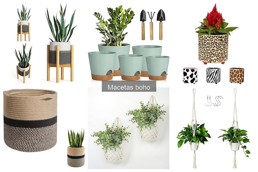 ** Errores al elegir macetas boho para tus plantas específicas