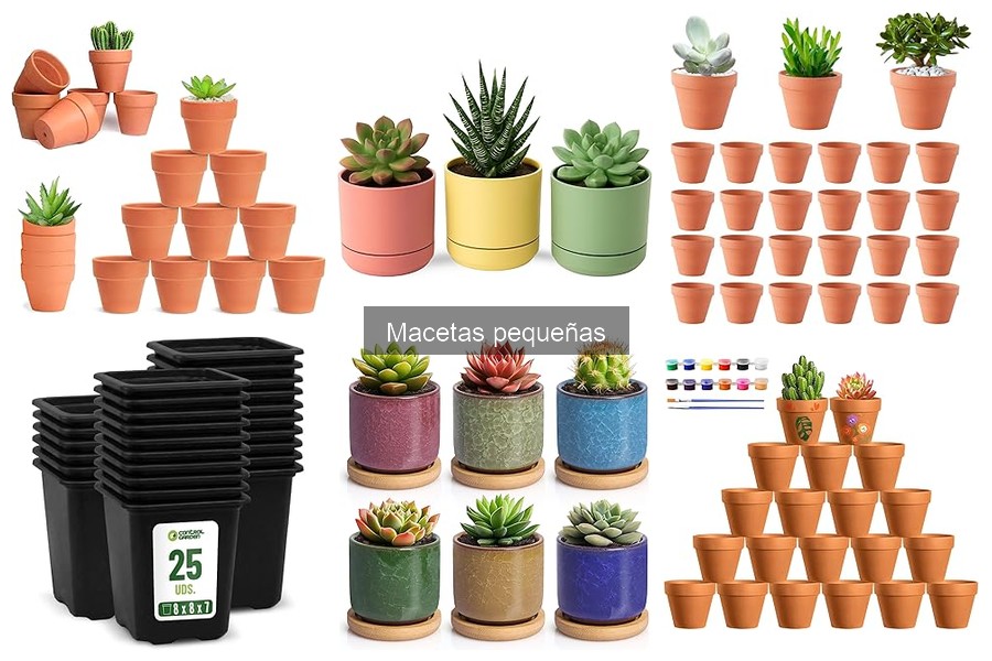 Errores comunes al elegir macetas pequeñas para tus plantas