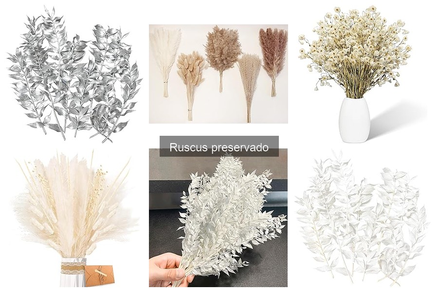 Errores comunes al elegir ruscus preservado para decorar