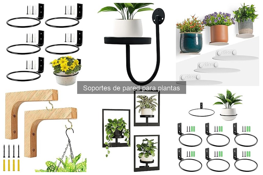 Errores comunes al elegir soportes de pared para plantas