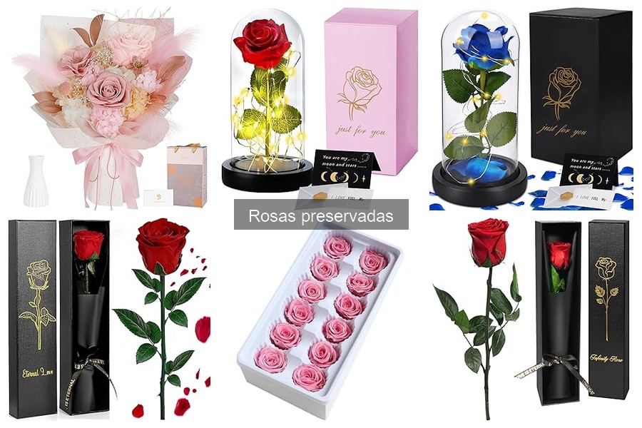 Errores Comunes al Mantener Rosas Preservadas