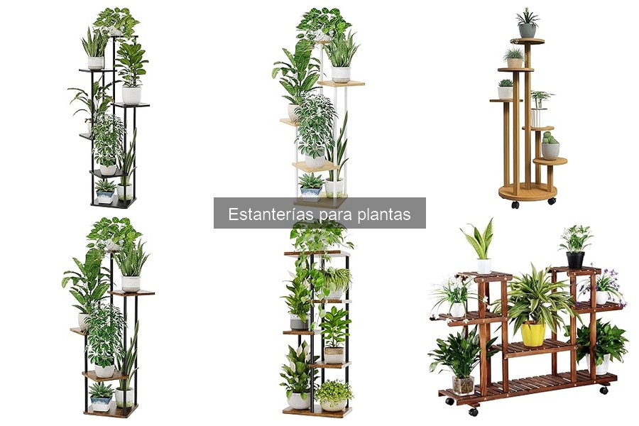 Errores comunes al usar estanterías para plantas en casa