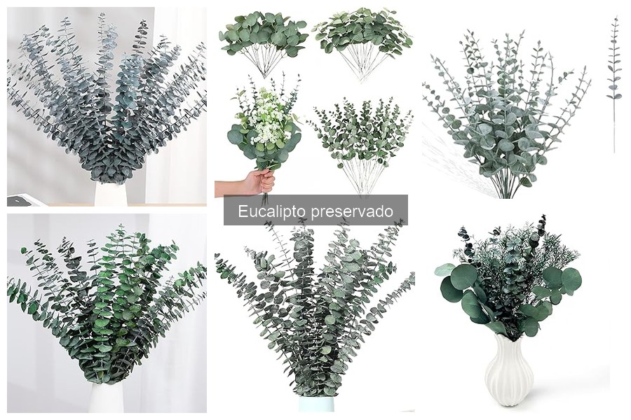 Errores comunes al usar eucalipto preservado en decoración