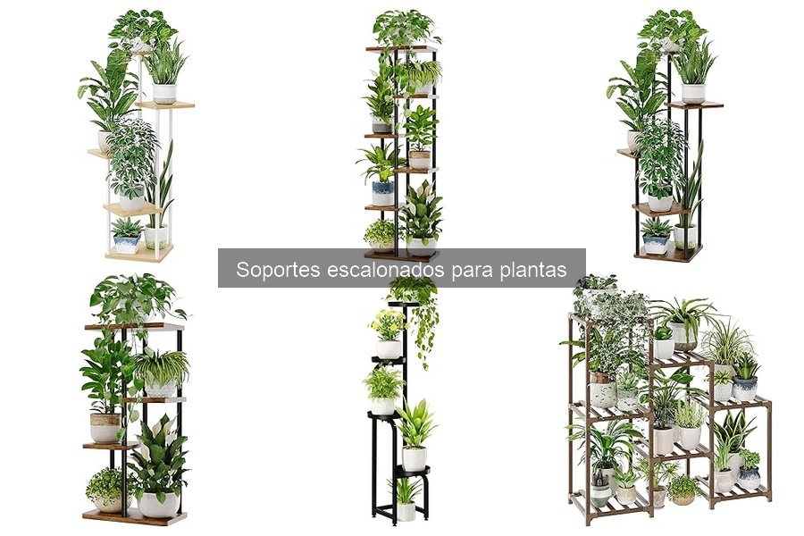 Errores comunes al usar soportes escalonados para plantas