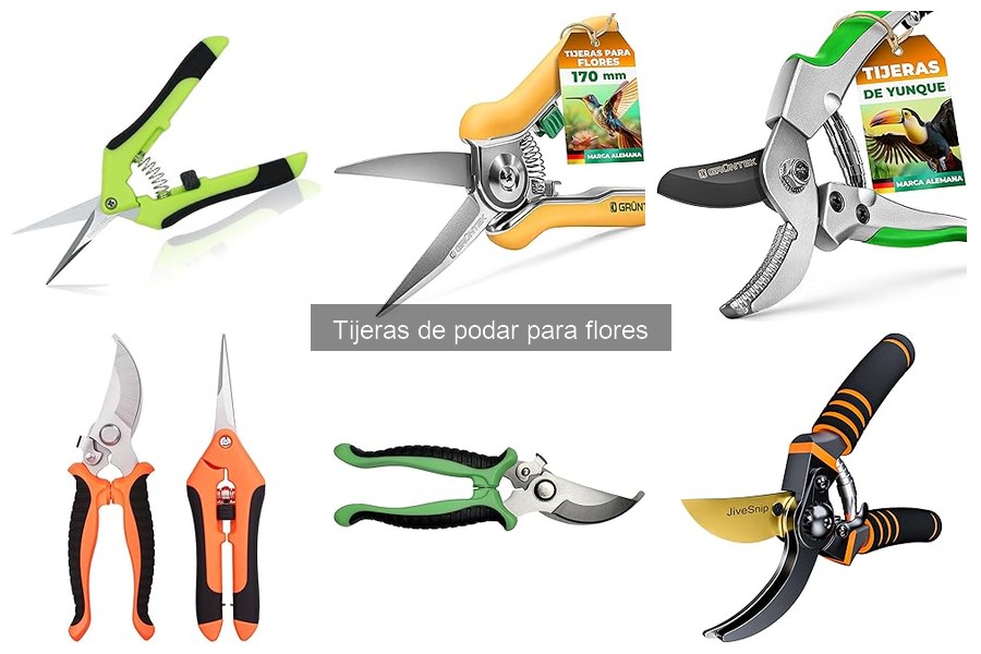 Errores comunes al usar tijeras de podar para flores
