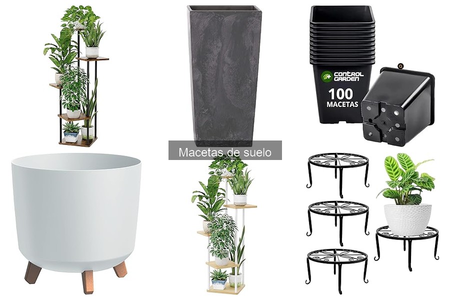 Estilos de macetas de suelo que realzan tu decoración