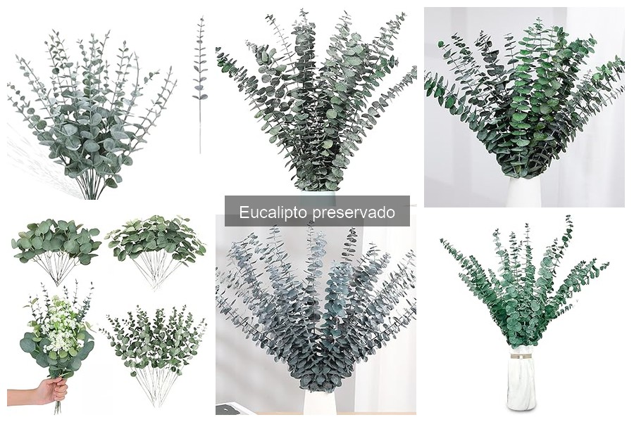 Eucalipto preservado vs flores secas: ¿qué opción elegir?