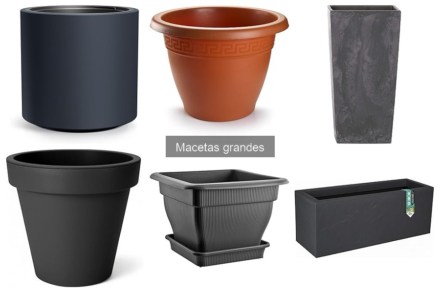 Guía de compra de macetas grandes para tu hogar