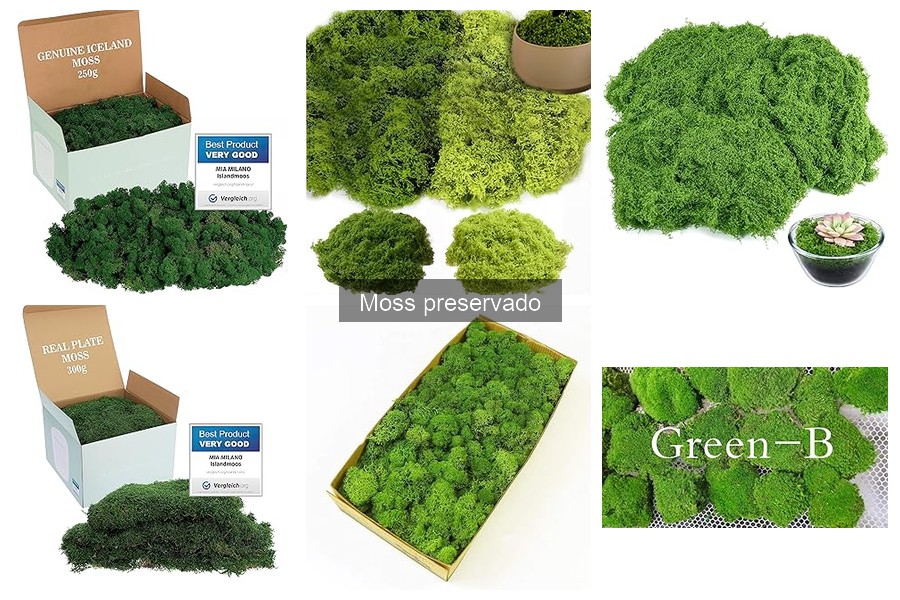 Guía de compra de musgo preservado para decoración