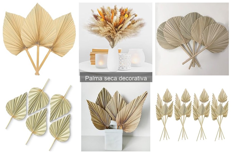 Guía de compra de palmas secas decorativas para tu hogar