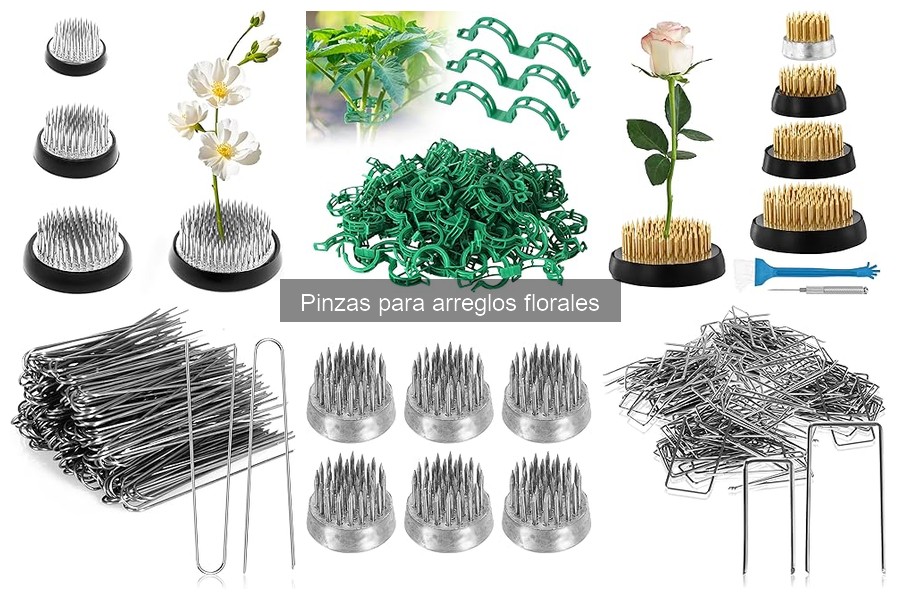 Guía de compra de pinzas para arreglos florales
