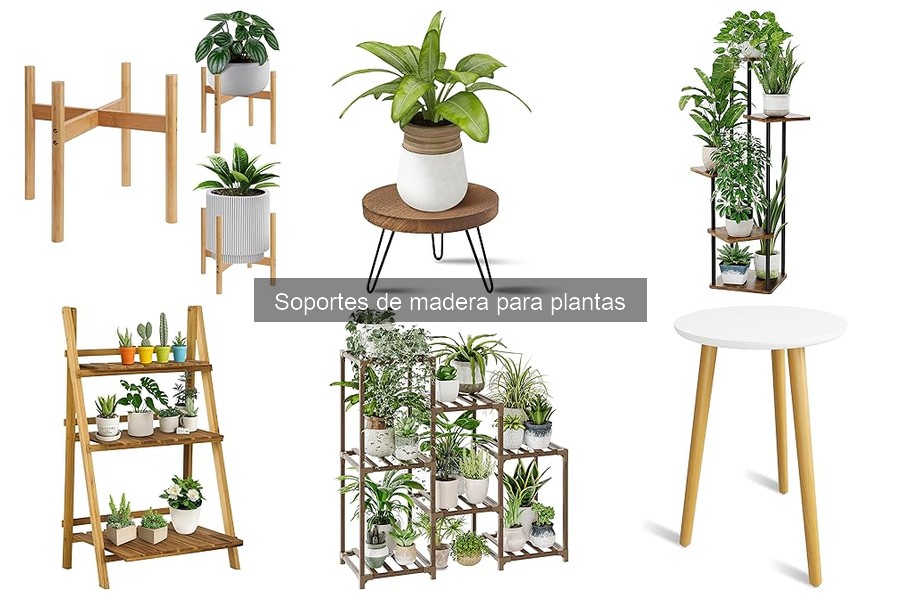 Guía de compra: Soportes de madera para plantas