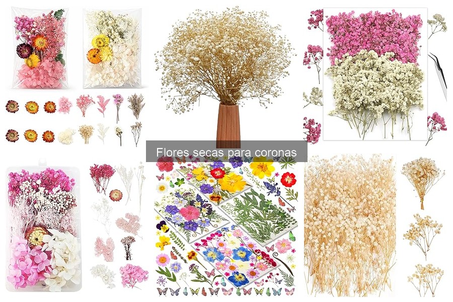 ** Guía para Comprar Flores Secas para Coronas: Tips Clave