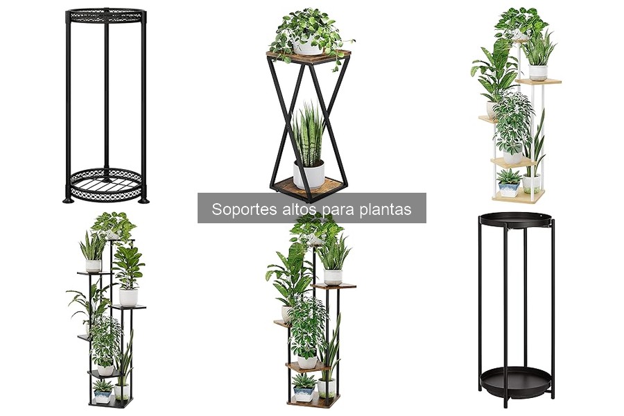 Guía para elegir el soporte alto para plantas adecuado