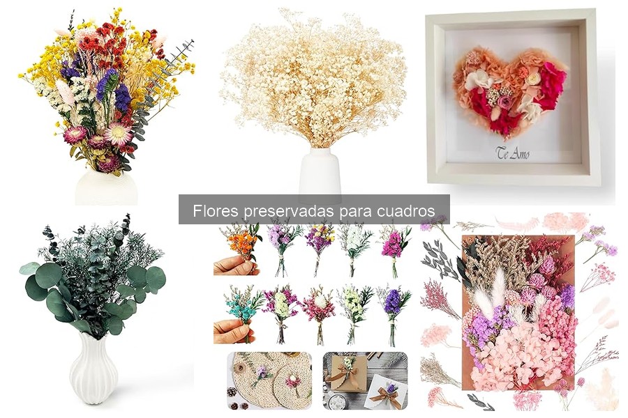 Guía para Elegir Flores Preservadas para Cuadros Decorativos