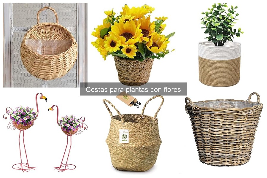 Guía para elegir la cesta ideal para plantas con flores