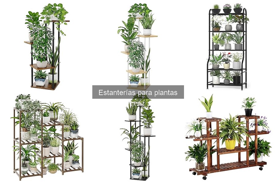 Guía para Elegir la Estantería Ideal para Plantas en Casa
