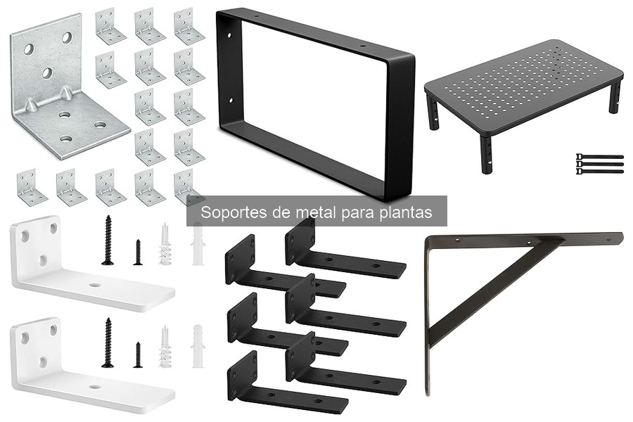 Guía para elegir soportes de metal para plantas en casa