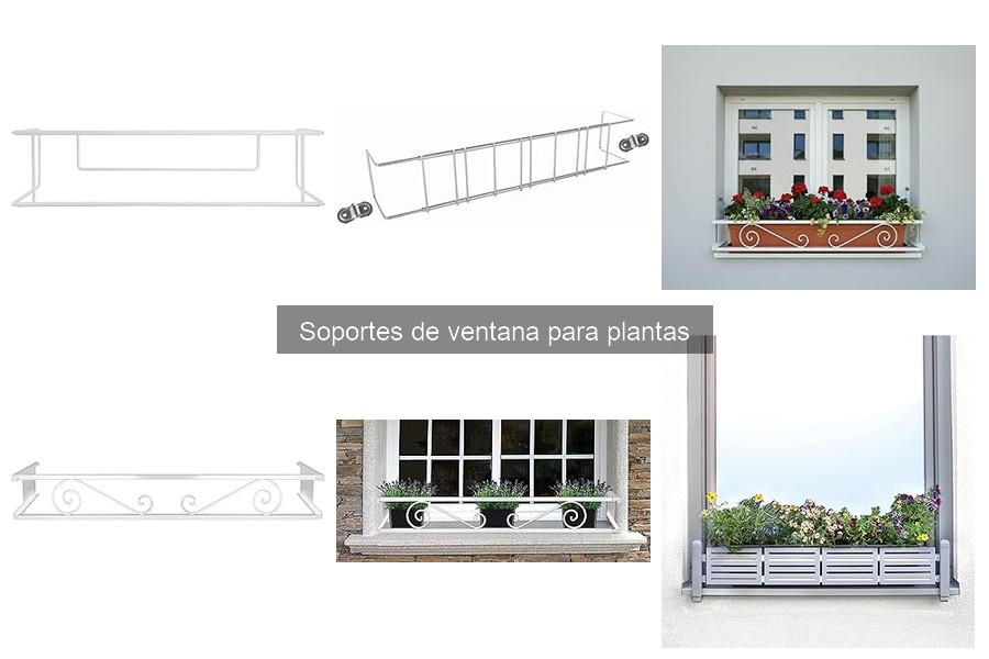 Guía para Elegir Soportes de Ventana para Plantas