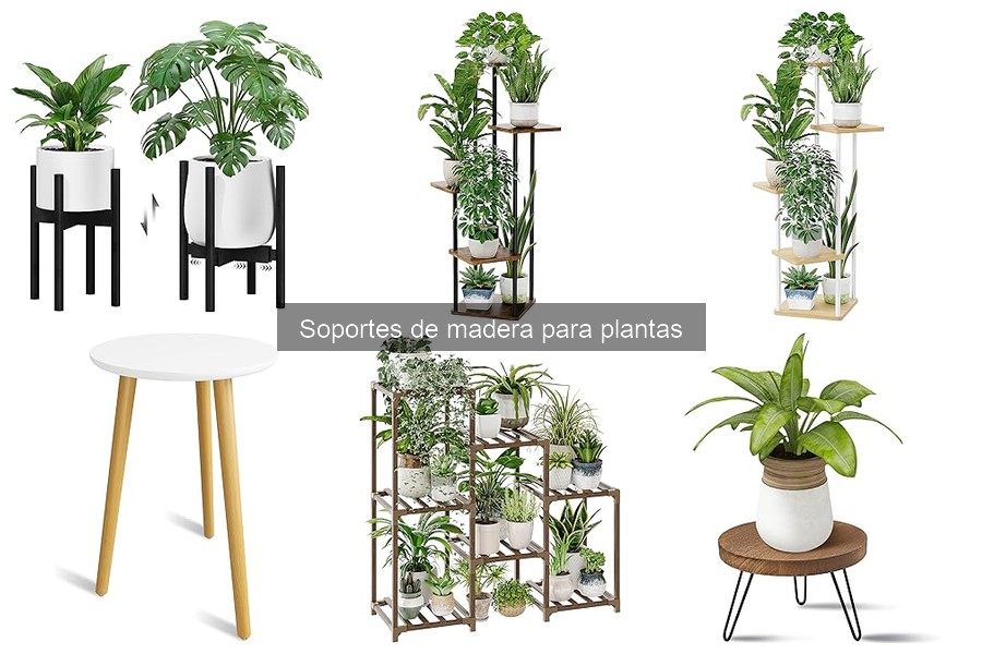 Ideas creativas con soportes de madera para plantas en casa