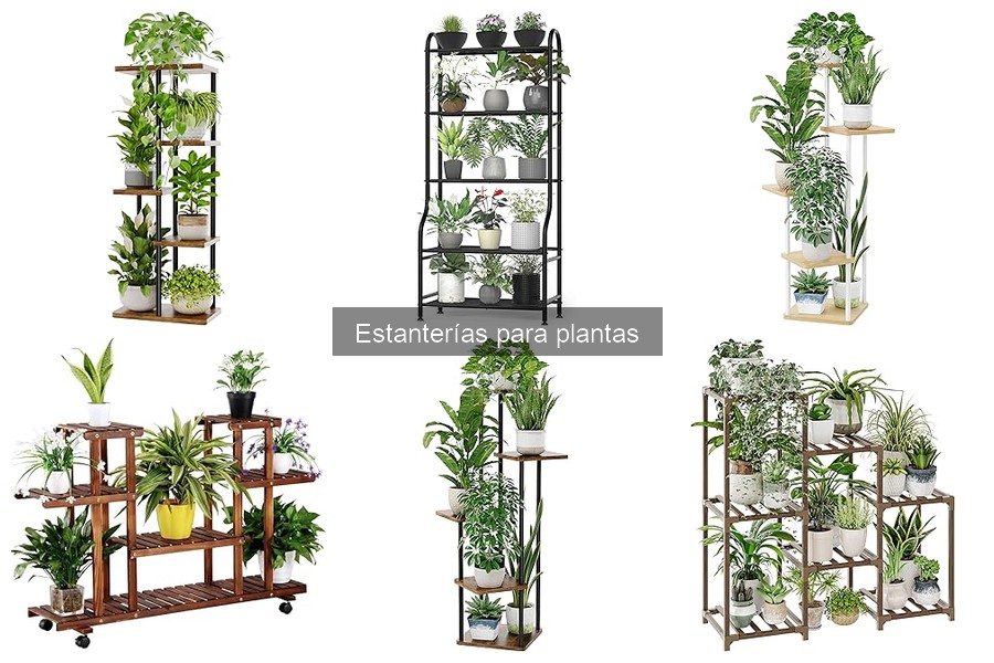 Ideas creativas de decoración con estanterías para plantas