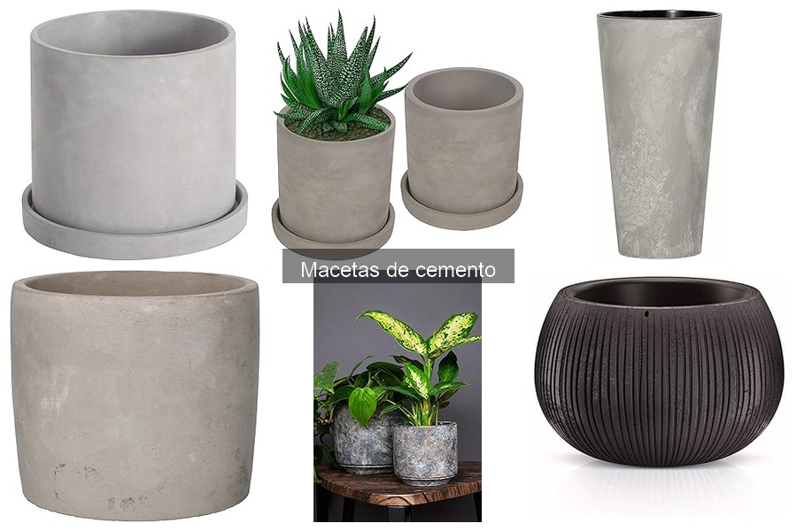 Ideas creativas de decoración con macetas de cemento para tu hogar