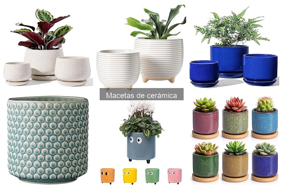 Ideas Creativas de Decoración con Macetas de Cerámica
