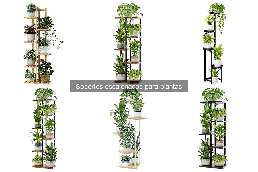 Ideas creativas de decoración con soportes escalonados para plantas