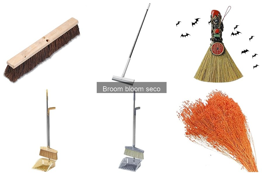 Ideas creativas para decorar con broom blooms secos