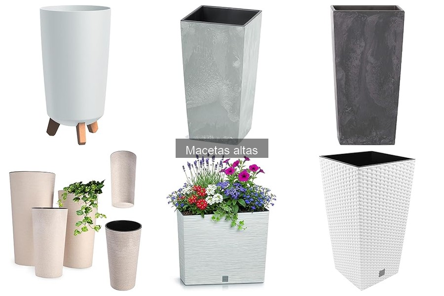 Ideas creativas para decorar con macetas altas en casa