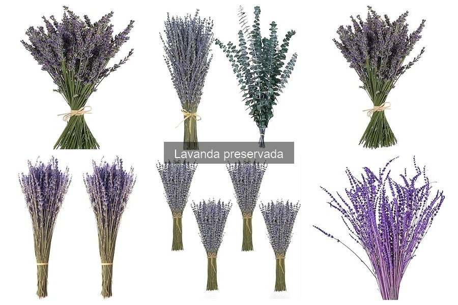 Ideas Creativas para Usar Lavanda Preservada en Decoración